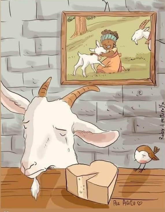 fumetto-agitu