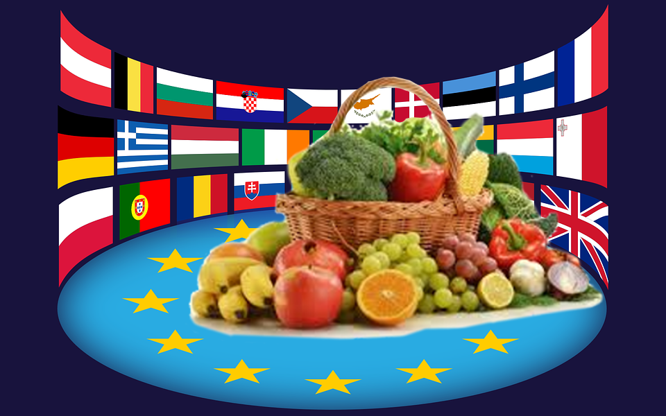 La sicurezza alimentare europea per Via Campesina. Call to action
